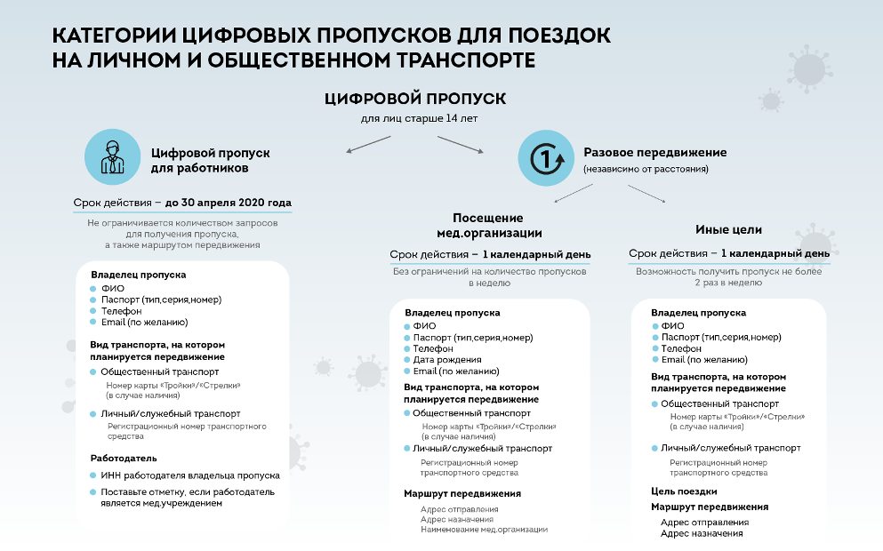 Цифровые пропуска в Москве. Что это, зачем нужно и как получить