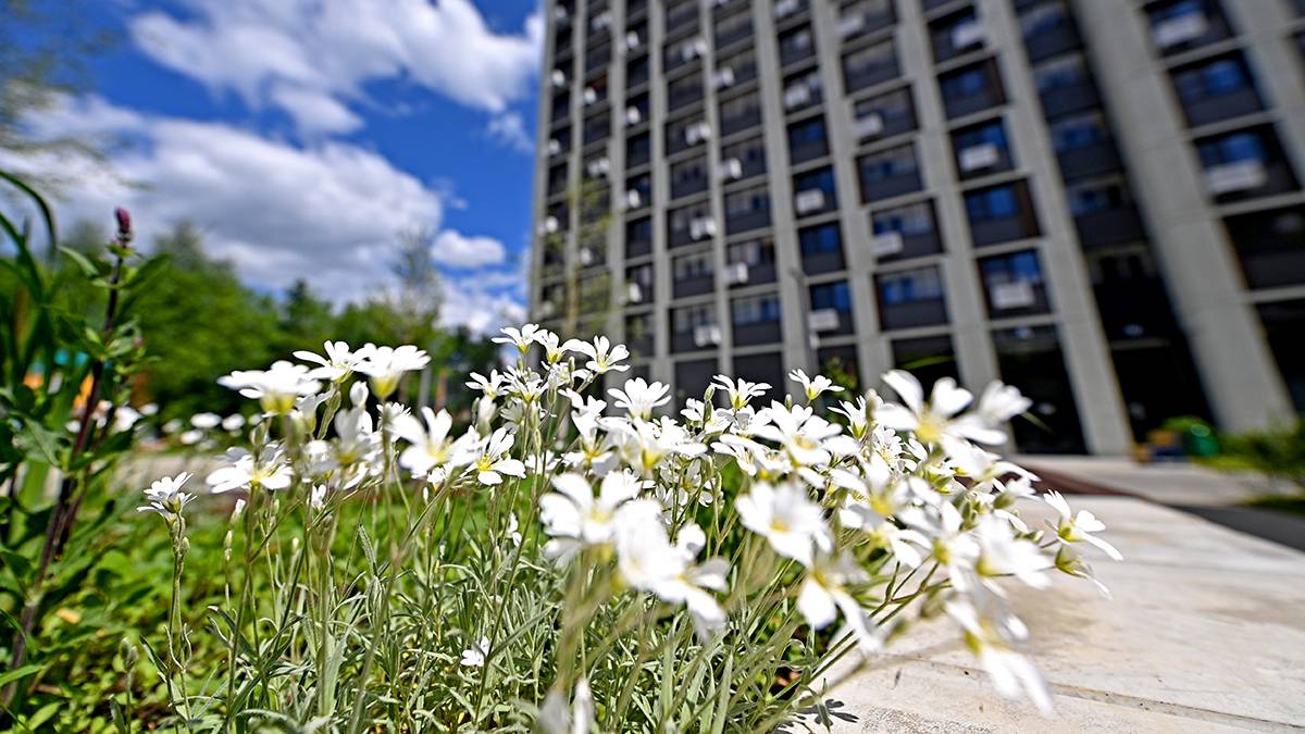 Более 70 коммерческих предприятий открылись в новостройках по реновации на севере Москвы