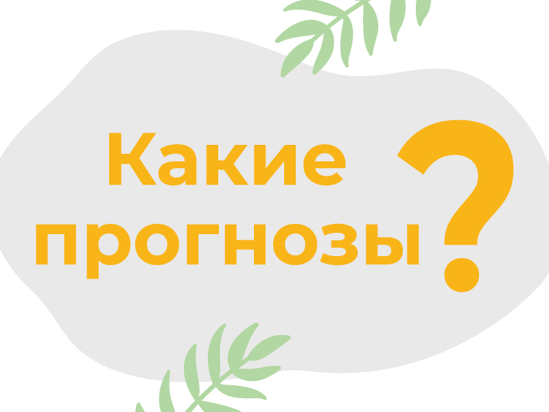Деньги из резерва: как государство помогает туристической отрасли
