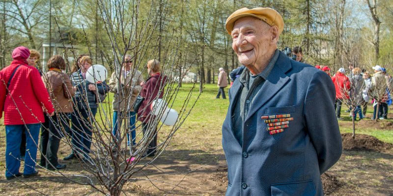 Льготы, патронаж и досуг: что еще город делает для москвичей старшего поколения