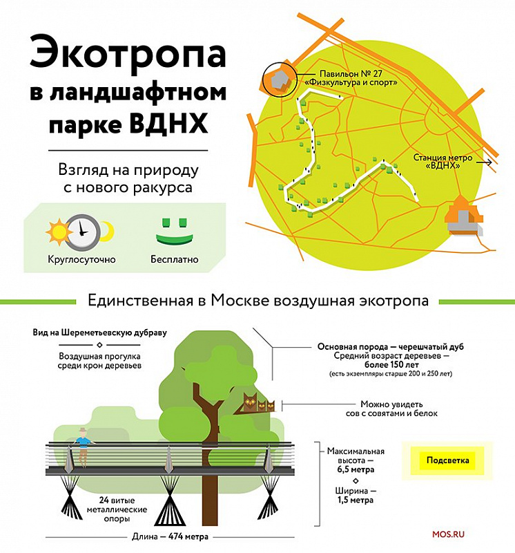 Осень в «Моем районе»: на ВДНХ открылась воздушная экотропа