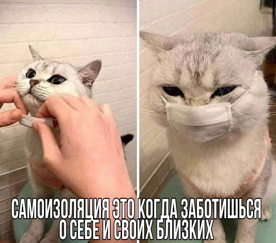 Главное оружие против вируса: чистые руки, песни, шутки и мемы