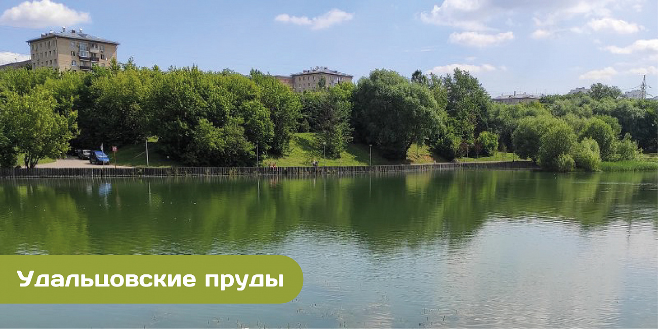 Московские водоемы приводят в порядок: отремонтируют Удальцовские пруды и пруд в Ново-Переделкине
