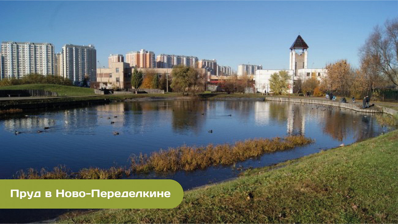 Московские водоемы приводят в порядок: отремонтируют Удальцовские пруды и пруд в Ново-Переделкине