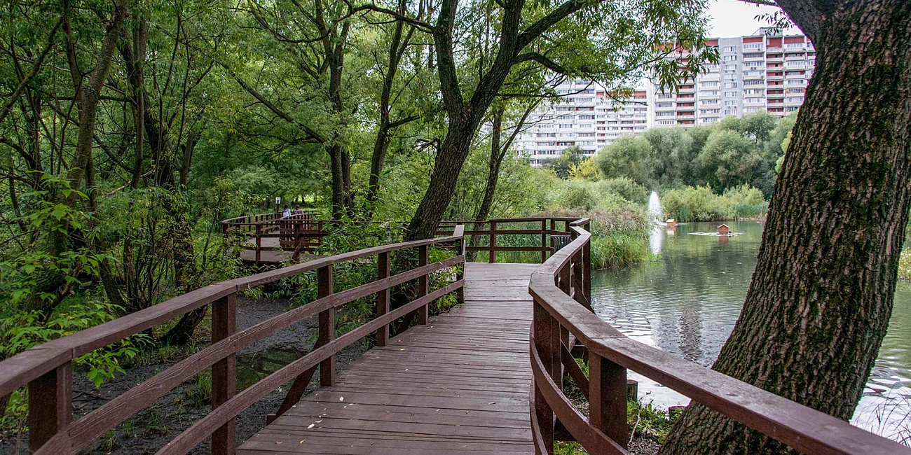 Парки, улицы и набережные: как благоустраивали Москву в 2019 году