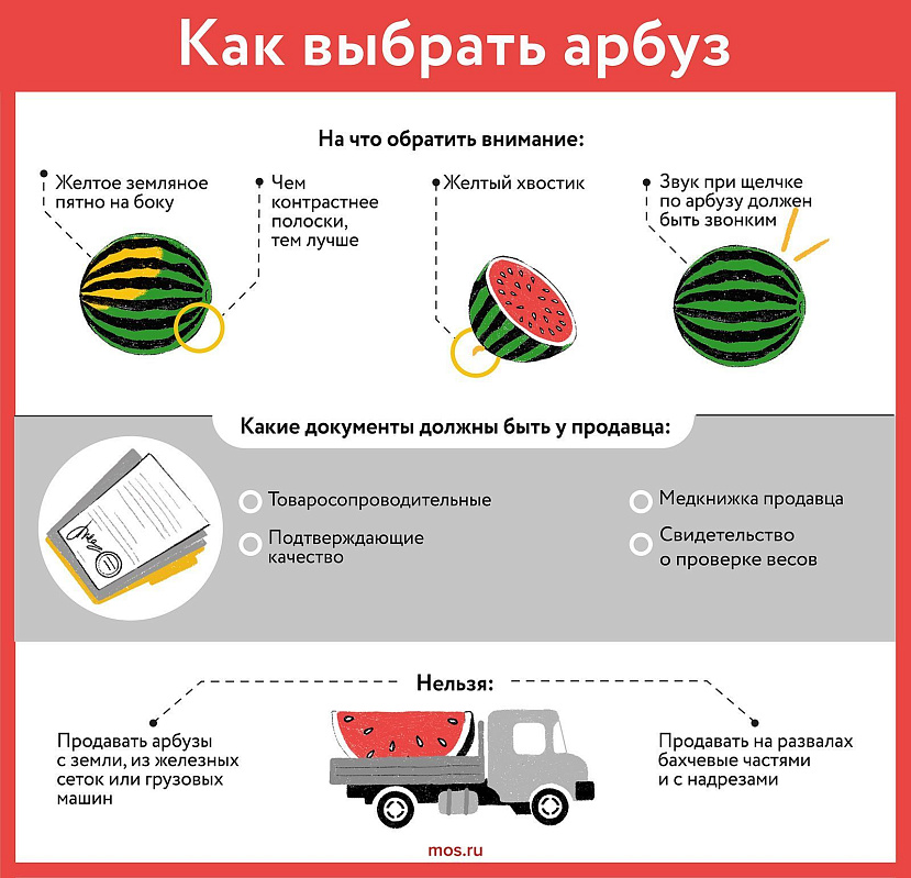 Спелый и сладкий арбуз: как выбрать и где купить